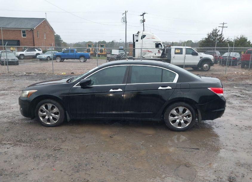Photo 14 of 2009 Honda Accord 3.5 EX-L (VIN 1HGCP36889A041833)