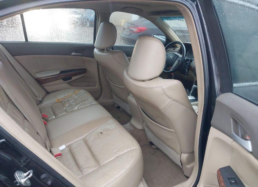 Photo 8 of 2009 Honda Accord 3.5 EX-L (VIN 1HGCP36889A041833)