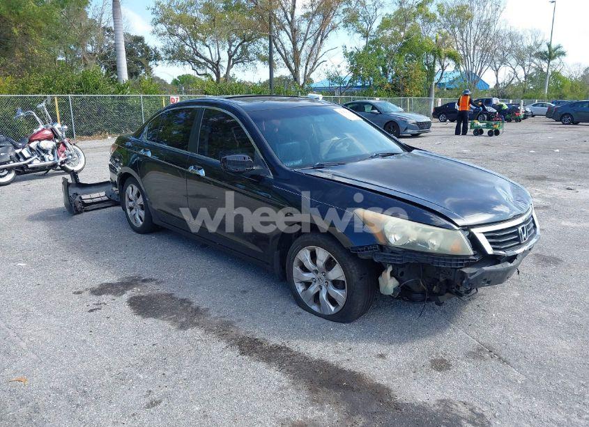 2008 Honda Accord 3.5 EX-L (VIN 1HGCP36898A019001) main photo