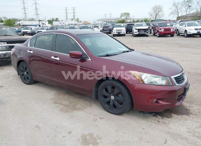 2008 Honda Accord 3.5 EX-L (VIN 1HGCP36898A024330) main photo