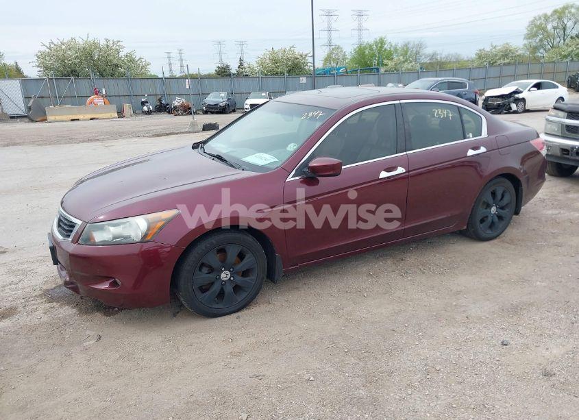 Photo 2 of 2008 Honda Accord 3.5 EX-L (VIN 1HGCP36898A024330)