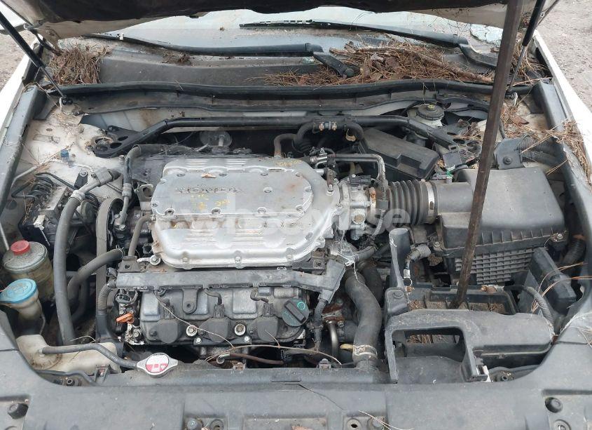 Photo 10 of 2008 Honda Accord 3.5 EX-L (VIN 1HGCP36898A066061)