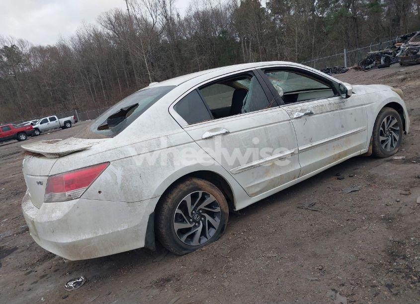 Photo 4 of 2008 Honda Accord 3.5 EX-L (VIN 1HGCP36898A066061)