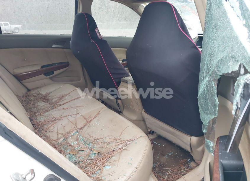 Photo 8 of 2008 Honda Accord 3.5 EX-L (VIN 1HGCP36898A066061)