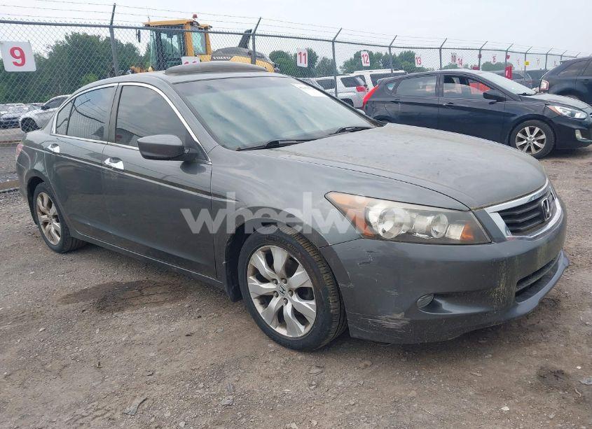 2009 Honda Accord 3.5 EX-L (VIN 1HGCP36899A008064) main photo