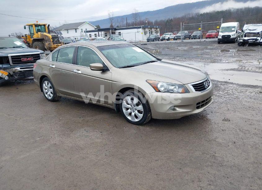 2008 Honda Accord 3.5 EX-L (VIN 1HGCP368X8A023526) main photo