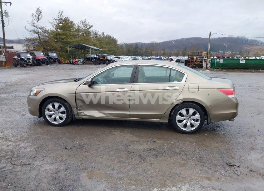 Photo 14 of 2008 Honda Accord 3.5 EX-L (VIN 1HGCP368X8A023526)
