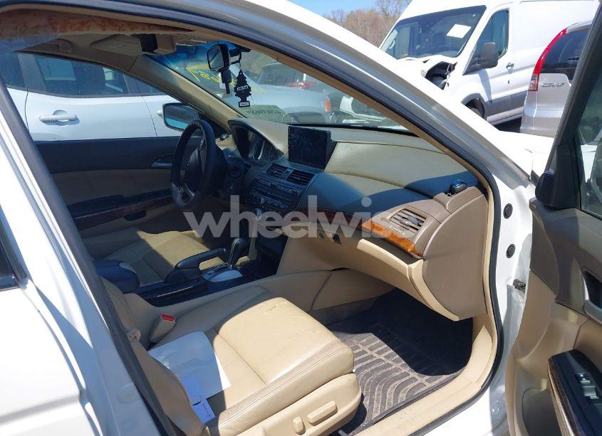 Photo 5 of 2008 Honda Accord 3.5 EX-L (VIN 1HGCP368X8A025454)