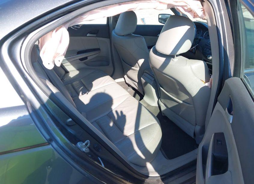 Photo 8 of 2008 Honda Accord 3.5 EX-L (VIN 1HGCP368X8A046434)