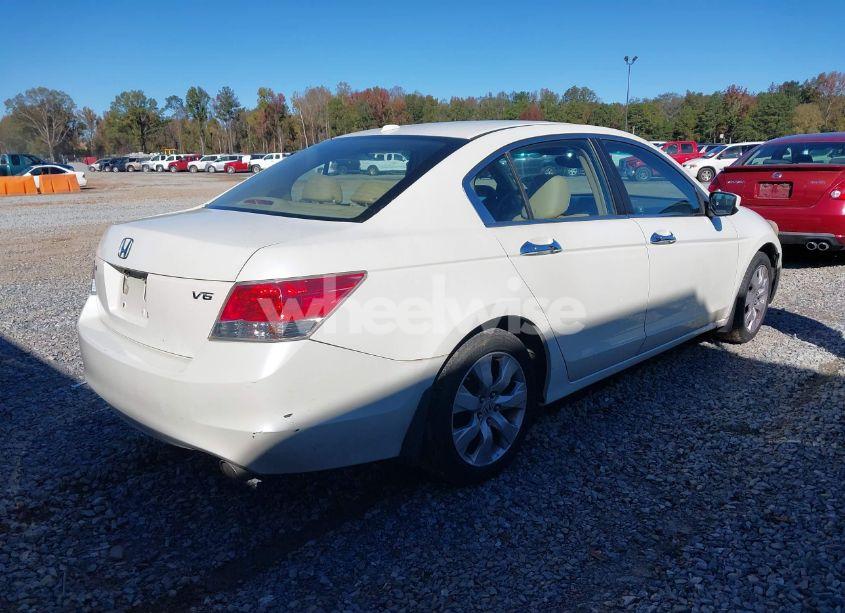 Photo 4 of 2008 Honda Accord 3.5 EX-L (VIN 1HGCP368X8A048684)