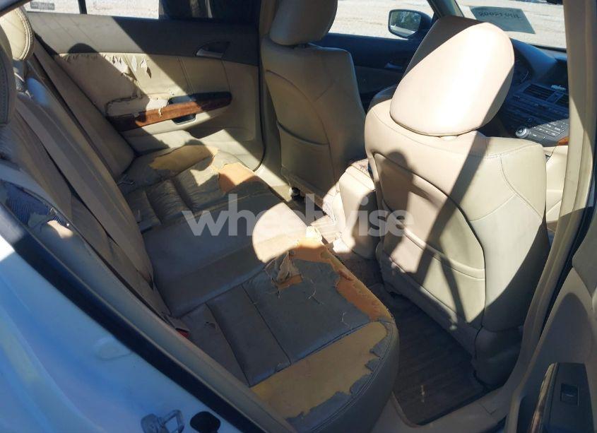 Photo 8 of 2008 Honda Accord 3.5 EX-L (VIN 1HGCP368X8A048684)