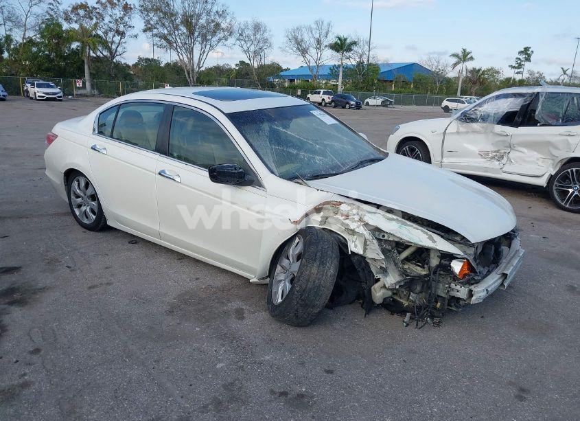 2008 Honda Accord 3.5 EX-L (VIN 1HGCP368X8A076517) main photo