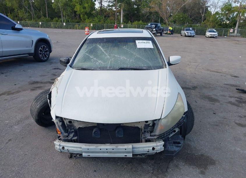 Photo 12 of 2008 Honda Accord 3.5 EX-L (VIN 1HGCP368X8A076517)