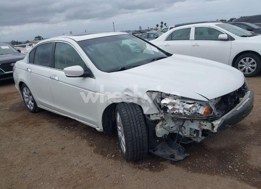 2009 Honda Accord 3.5 EX-L (VIN 1HGCP368X9A001611) main photo