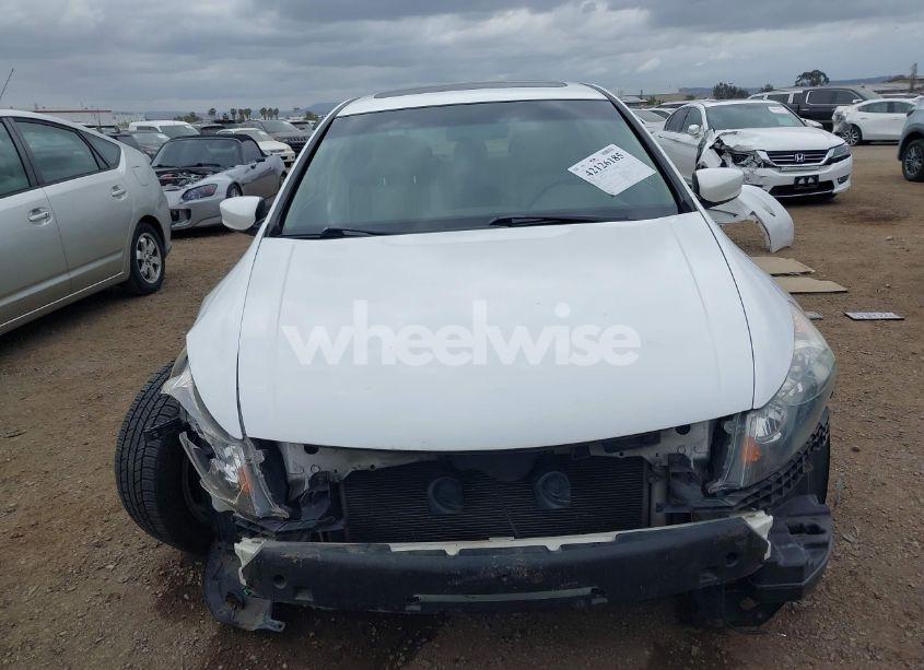 Photo 13 of 2009 Honda Accord 3.5 EX-L (VIN 1HGCP368X9A001611)