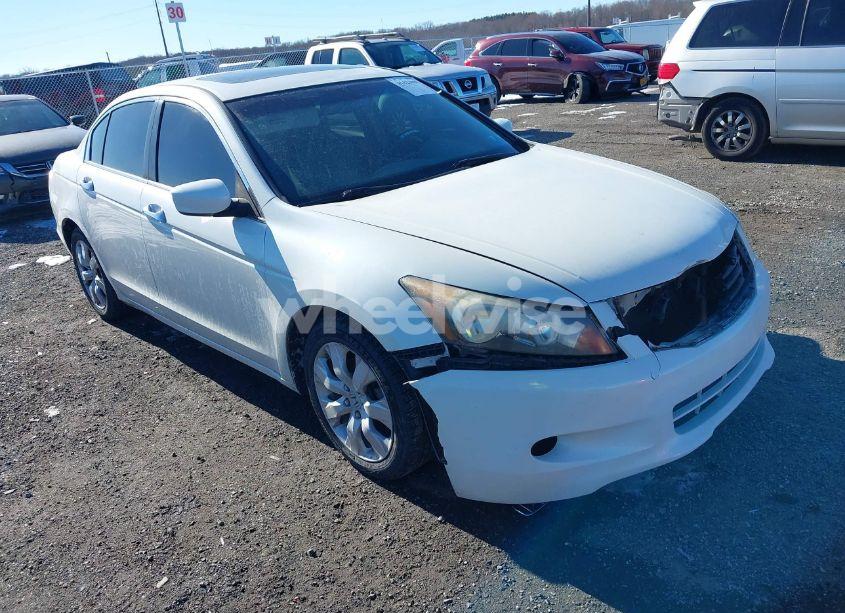 2009 Honda Accord 3.5 EX-L (VIN 1HGCP368X9A003827) main photo