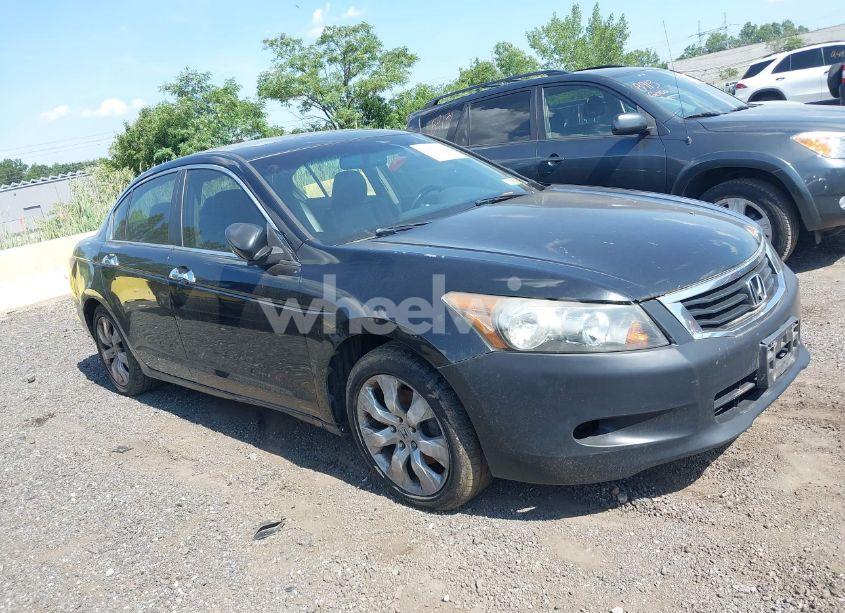 2009 Honda Accord 3.5 EX-L (VIN 1HGCP368X9A007196) main photo