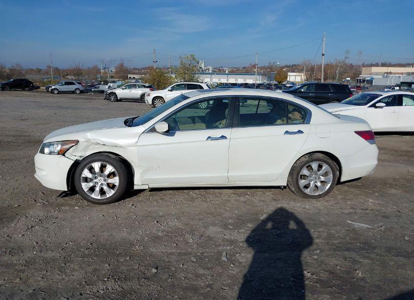Photo 14 of 2009 Honda Accord 3.5 EX-L (VIN 1HGCP368X9A011832)