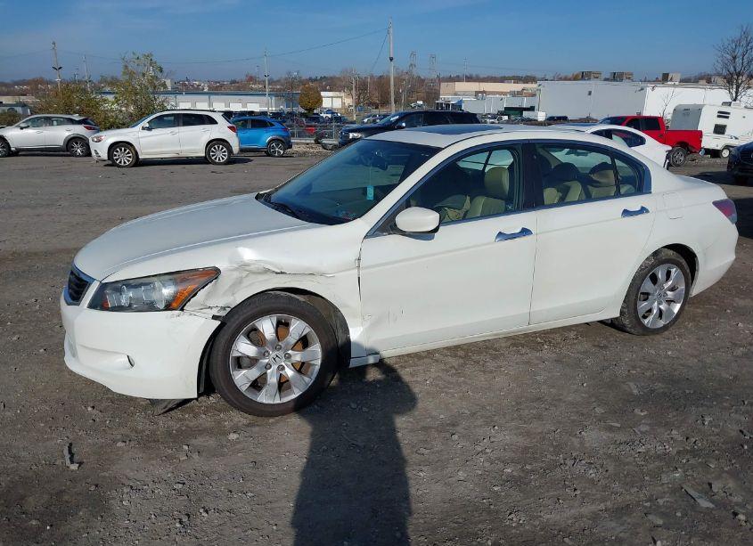 Photo 6 of 2009 Honda Accord 3.5 EX-L (VIN 1HGCP368X9A011832)