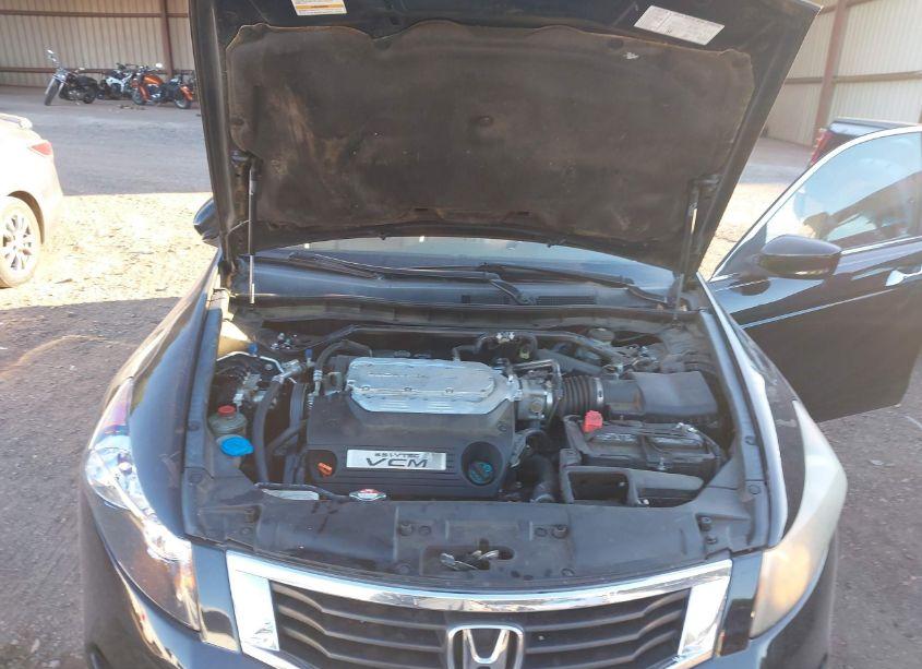 Photo 10 of 2009 Honda Accord 3.5 EX-L (VIN 1HGCP368X9A013516)