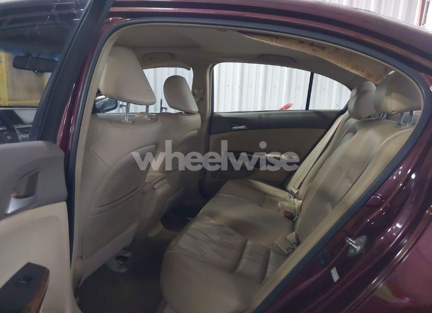 Photo 8 of 2009 Honda Accord 3.5 EX-L (VIN 1HGCP368X9A038027)