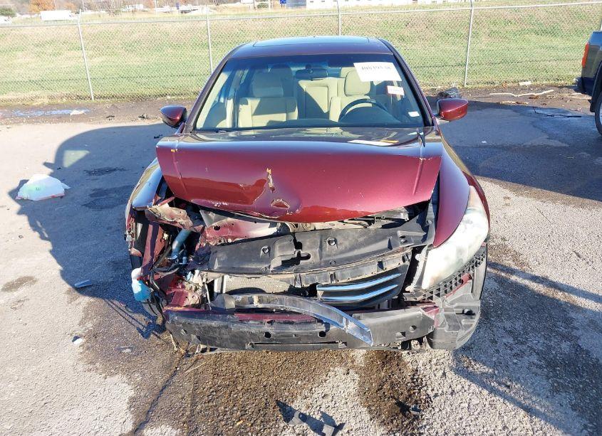 Photo 13 of 2011 Honda Accord 3.5 EX (VIN 1HGCP3F71BA007830)