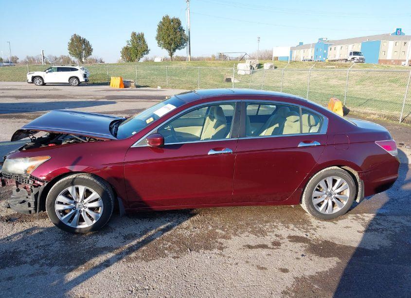 Photo 15 of 2011 Honda Accord 3.5 EX (VIN 1HGCP3F71BA007830)