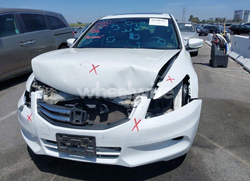 Photo 13 of 2011 Honda Accord 3.5 EX (VIN 1HGCP3F76BA027233)