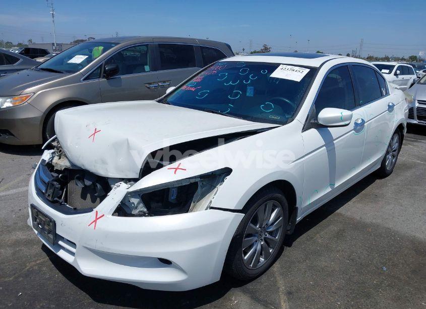 Photo 2 of 2011 Honda Accord 3.5 EX (VIN 1HGCP3F76BA027233)