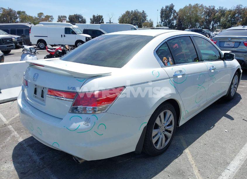 Photo 4 of 2011 Honda Accord 3.5 EX (VIN 1HGCP3F76BA027233)