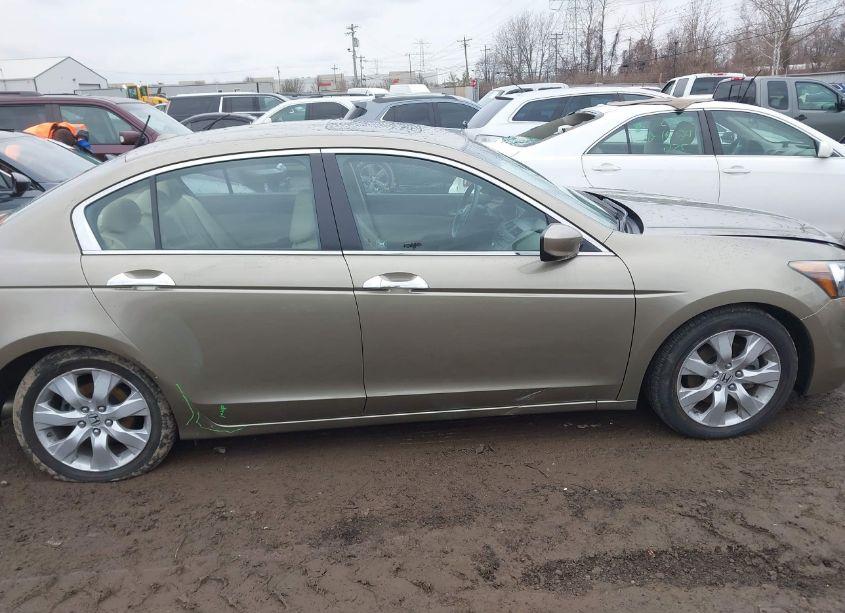 Photo 14 of 2010 Honda Accord 3.5 EX-L (VIN 1HGCP3F80AA004506)