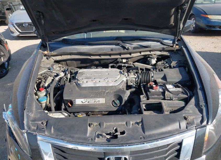 Photo 10 of 2010 Honda Accord 3.5 EX-L (VIN 1HGCP3F80AA004649)