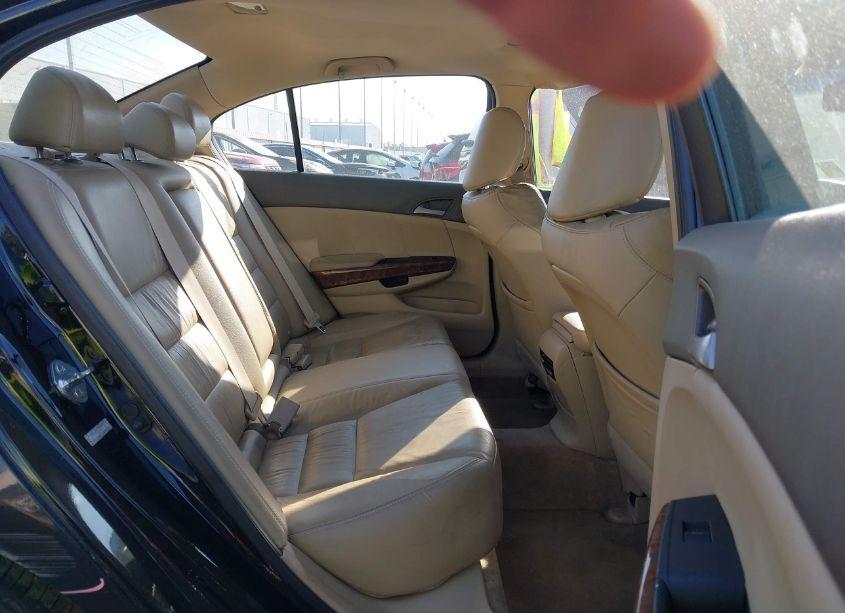 Photo 8 of 2010 Honda Accord 3.5 EX-L (VIN 1HGCP3F80AA004649)