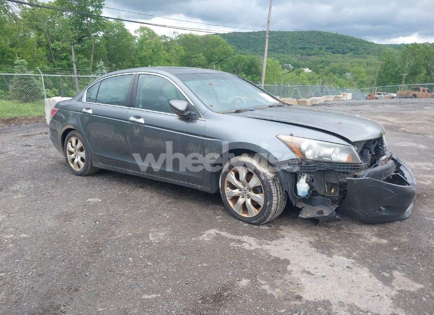 2010 Honda Accord 3.5 EX-L (VIN 1HGCP3F80AA005218) main photo
