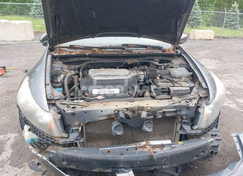 Photo 10 of 2010 Honda Accord 3.5 EX-L (VIN 1HGCP3F80AA005218)