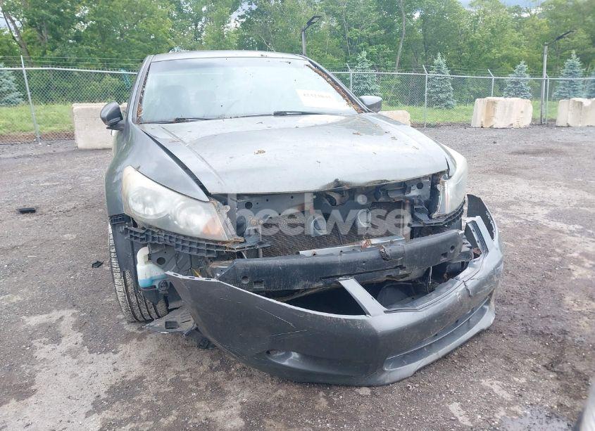 Photo 6 of 2010 Honda Accord 3.5 EX-L (VIN 1HGCP3F80AA005218)