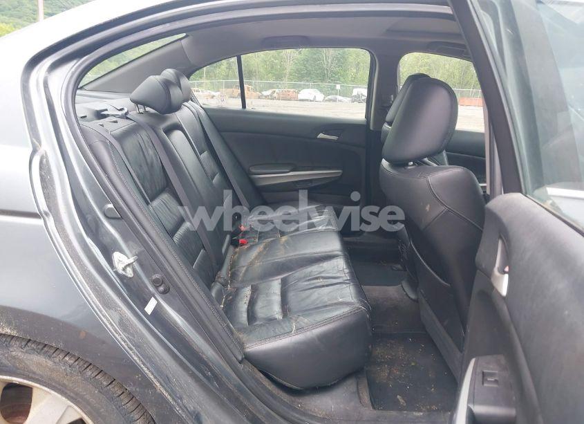 Photo 8 of 2010 Honda Accord 3.5 EX-L (VIN 1HGCP3F80AA005218)