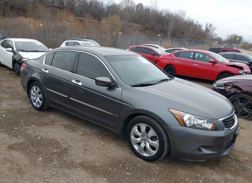 2010 Honda Accord 3.5 EX-L (VIN 1HGCP3F80AA006045) main photo
