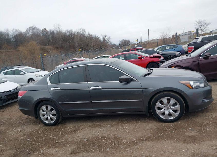 Photo 13 of 2010 Honda Accord 3.5 EX-L (VIN 1HGCP3F80AA006045)