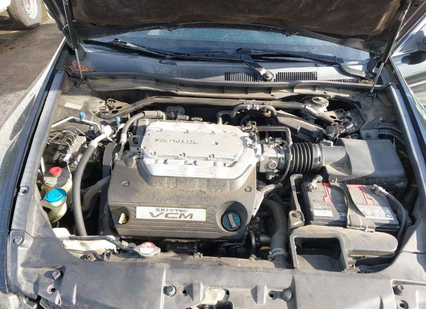 Photo 10 of 2010 Honda Accord 3.5 EX-L (VIN 1HGCP3F80AA007129)