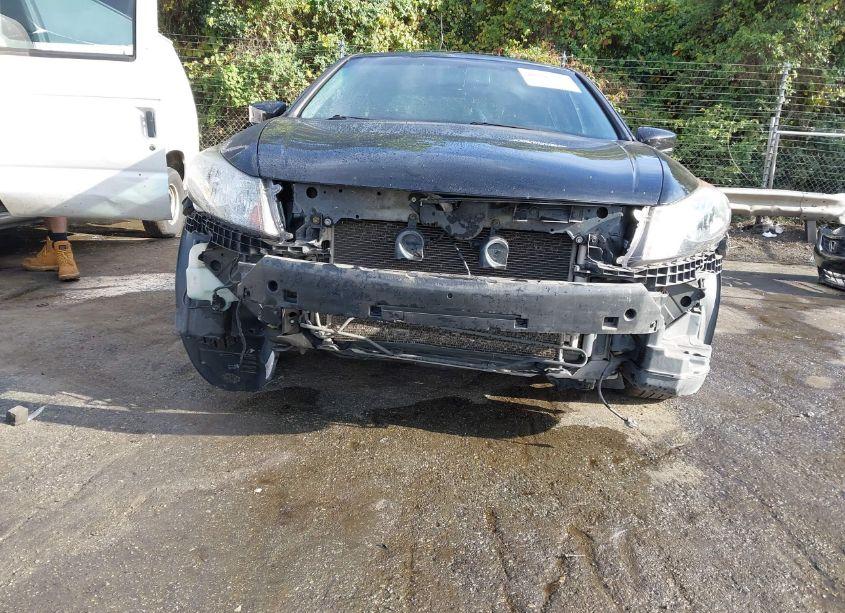 Photo 6 of 2010 Honda Accord 3.5 EX-L (VIN 1HGCP3F80AA007129)