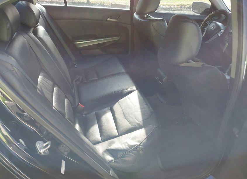 Photo 8 of 2010 Honda Accord 3.5 EX-L (VIN 1HGCP3F80AA007129)