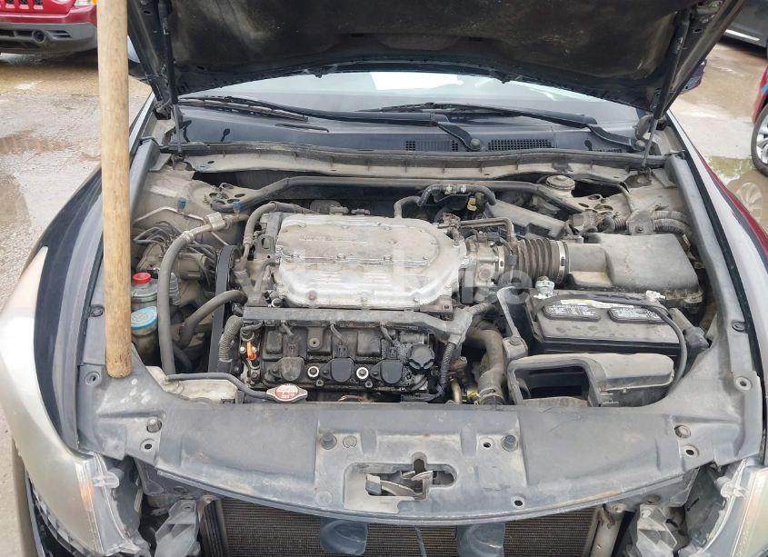 Photo 10 of 2010 Honda Accord 3.5 EX-L (VIN 1HGCP3F80AA012508)