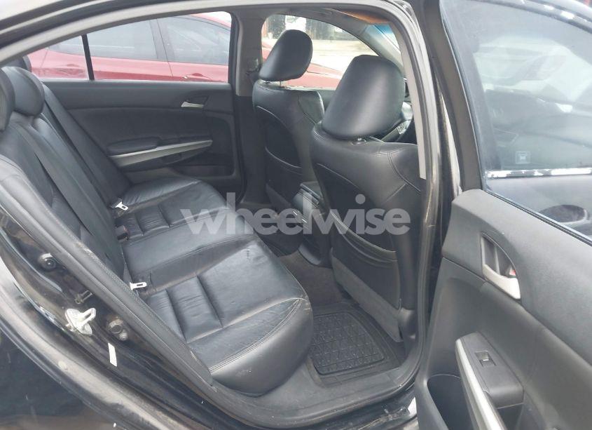 Photo 8 of 2010 Honda Accord 3.5 EX-L (VIN 1HGCP3F80AA012508)