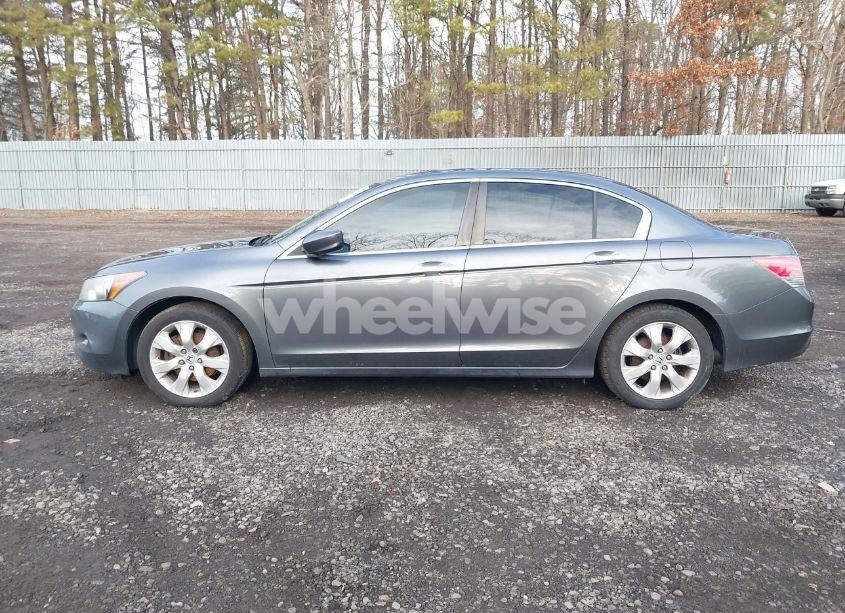 Photo 14 of 2010 Honda Accord 3.5 EX-L (VIN 1HGCP3F80AA028028)