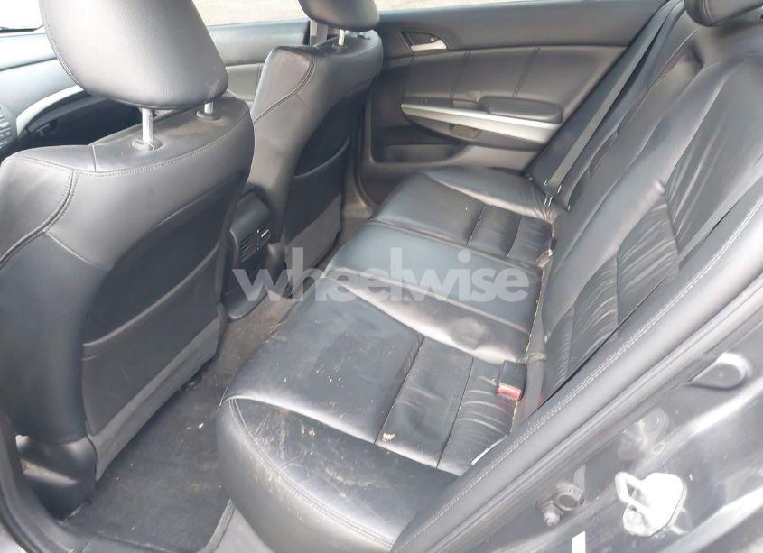 Photo 8 of 2010 Honda Accord 3.5 EX-L (VIN 1HGCP3F80AA028028)