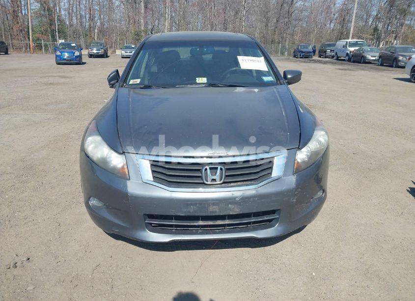 Photo 12 of 2010 Honda Accord 3.5 EX-L (VIN 1HGCP3F80AA032094)
