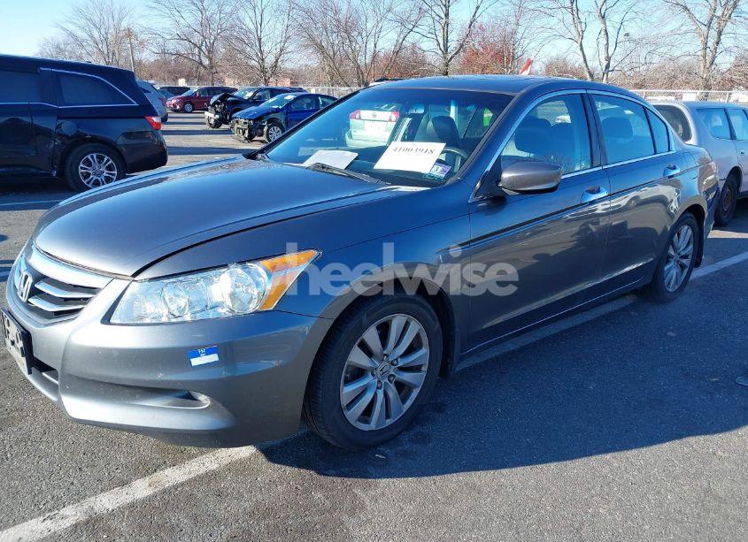 Photo 2 of 2011 Honda Accord 3.5 EX-L (VIN 1HGCP3F80BA004281)