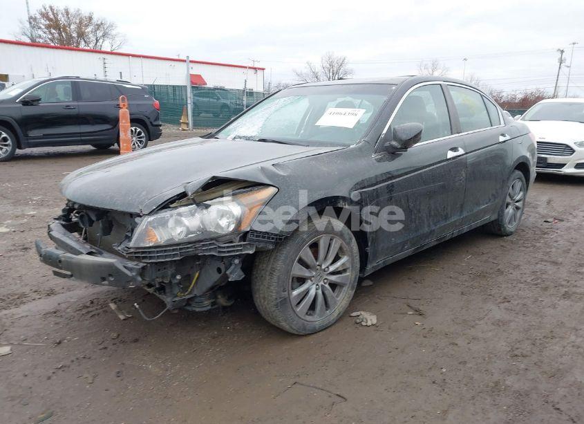 Photo 2 of 2011 Honda Accord 3.5 EX-L (VIN 1HGCP3F80BA006788)