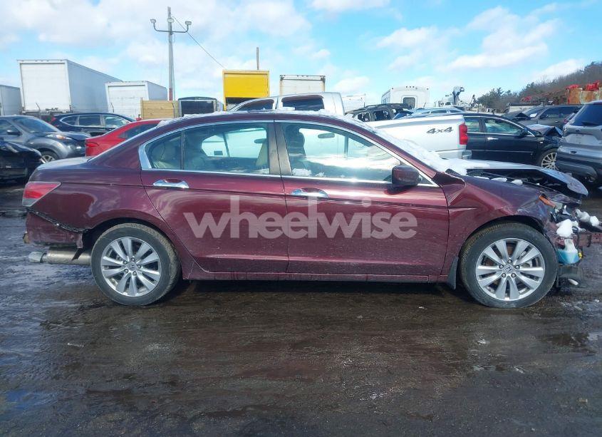 Photo 13 of 2011 Honda Accord 3.5 EX-L (VIN 1HGCP3F80BA009528)